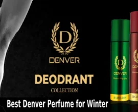 Best Denver Perfume for Winter