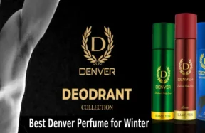 Best Denver Perfume for Winter