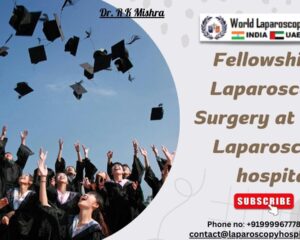 Fellowship-in-Laparoscopic-Surgery