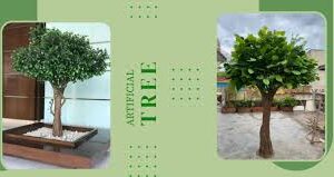 images-1