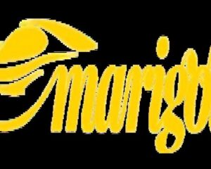 images__2_-removebg-preview-2-min-1
